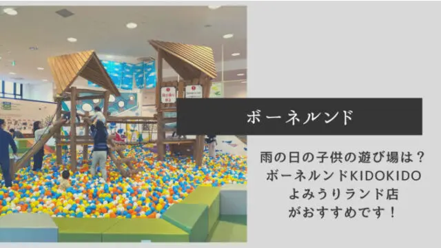 ボーネルンド 雨の日の子供の遊び場は ボーネルンドkidokidoよみうりランド店がおすすめです Ryo Mama Family Complex